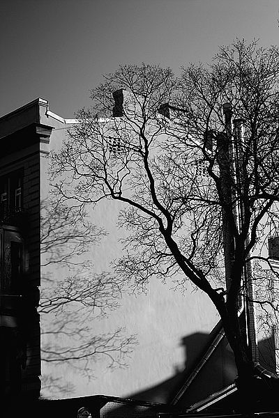 ������ ������������� � ����� (2009)