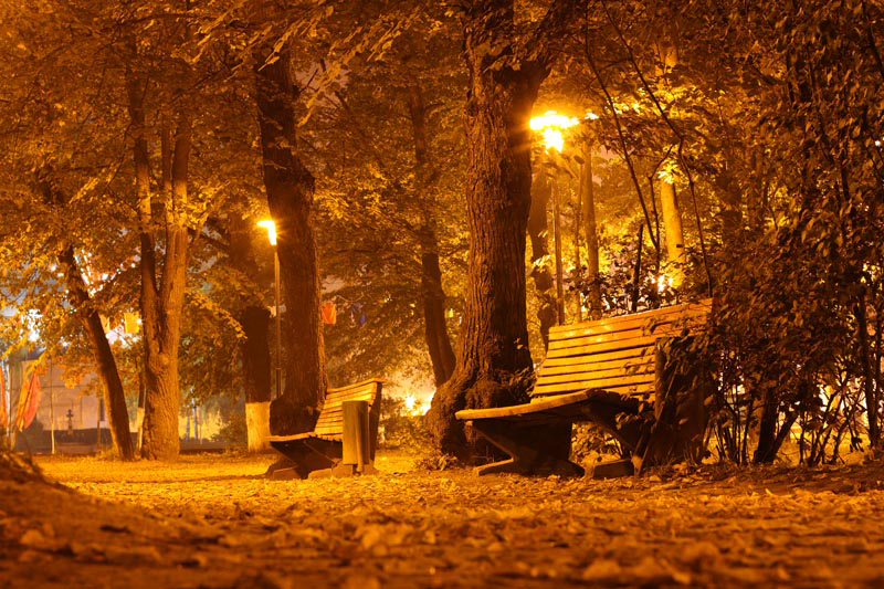 ������ ����� (2008)