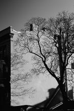 ������ ������������� � ����� (2009)