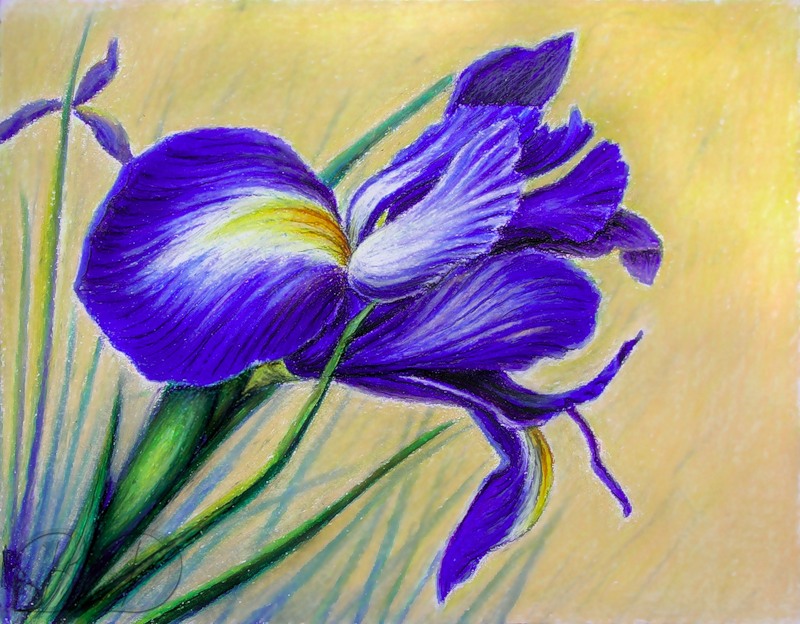 ���� ������� ������