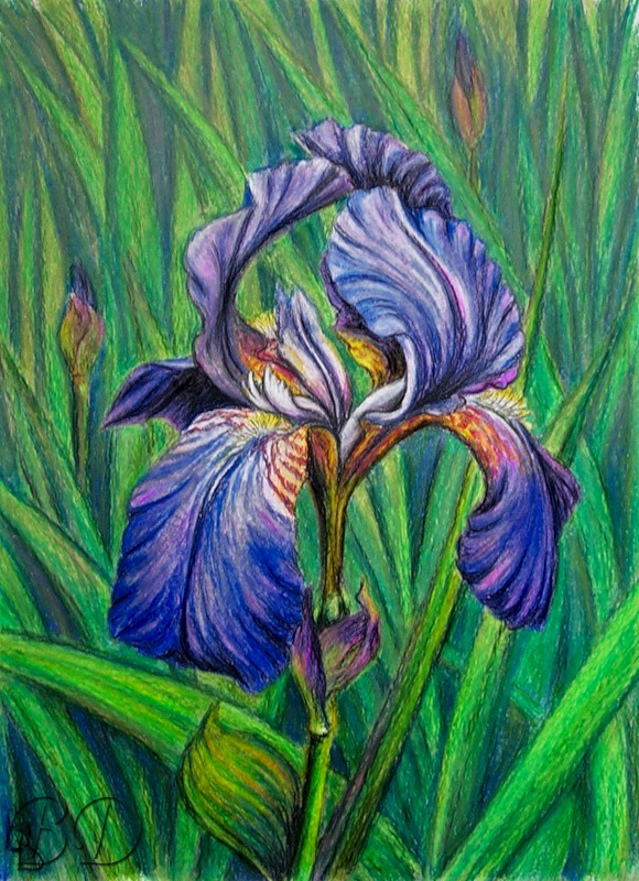 ���� � �����