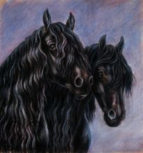 � ��������