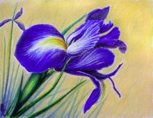 ���� ������� ������