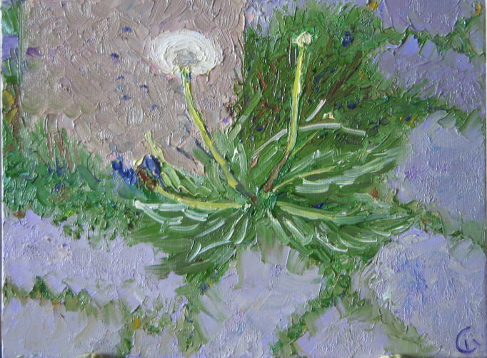 ����� ����!