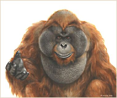 ����������, 2003 �., �����, �����