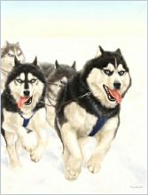 "������� (�����)", 2005 �., �����, �����