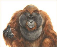 ����������, 2003 �., �����, �����