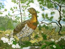 �������� - ���������� ������.