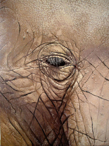 ���� �����