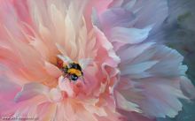 ���� � ����