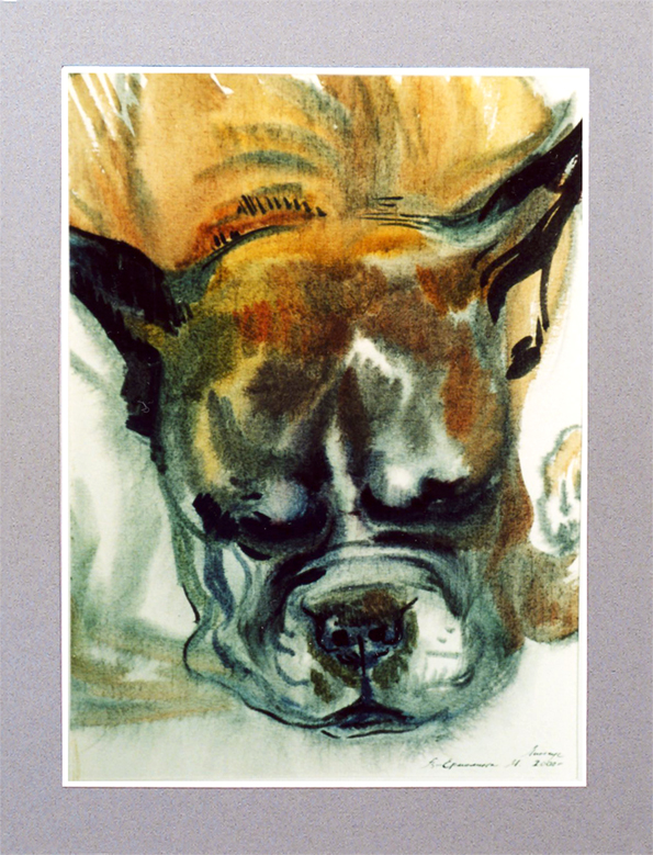 ����� ������ ����. ��������. 