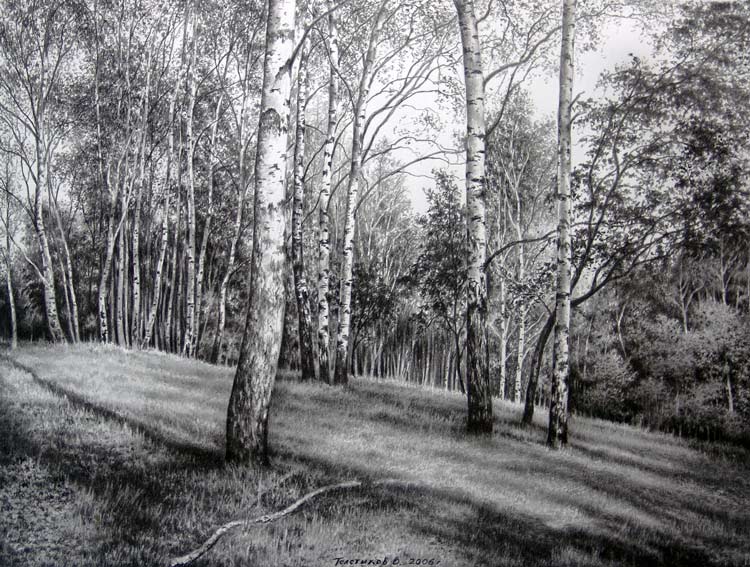 ������ ����