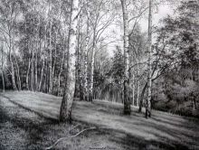 ������ ����