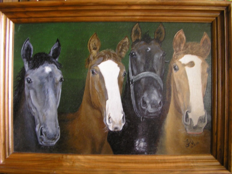 ������������ ��������