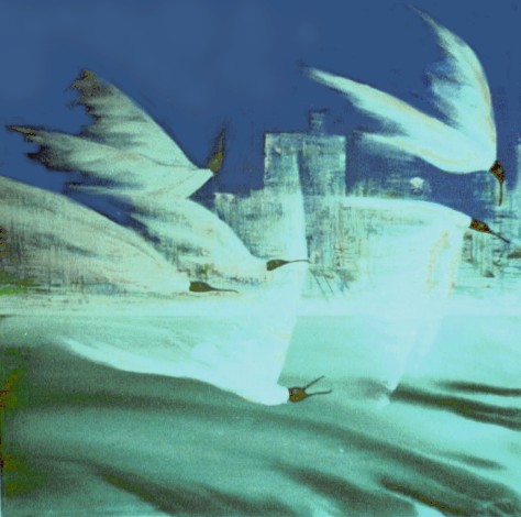 ����� � ����, �������(�����)