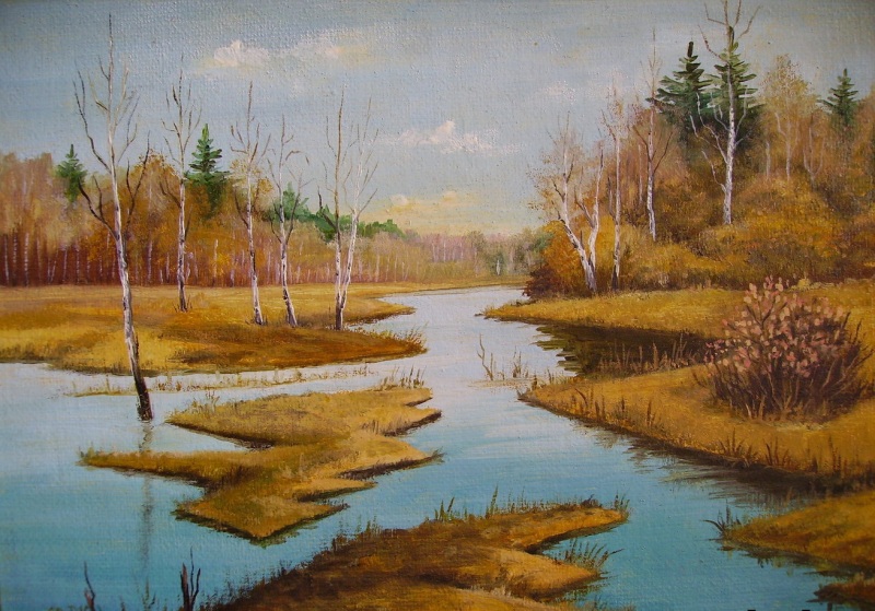 ����������