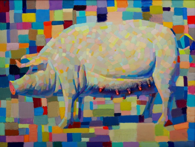 ������������ ����