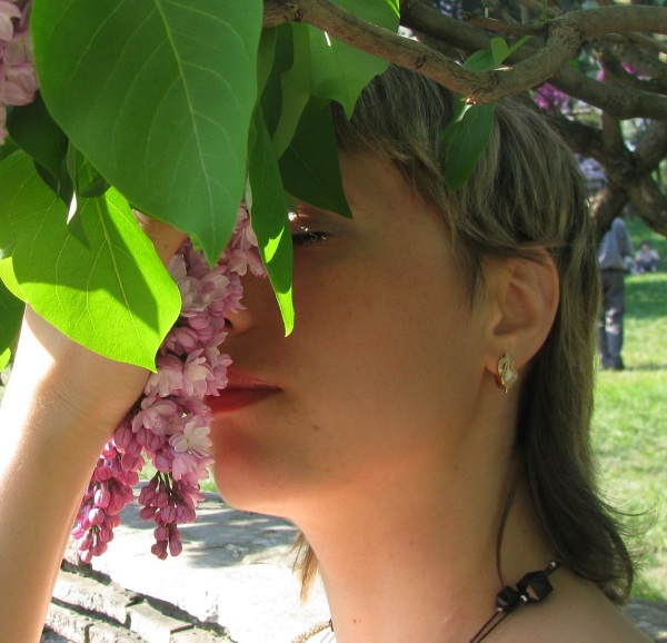 �������� �������� ���������