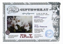 White Iris Elegance I