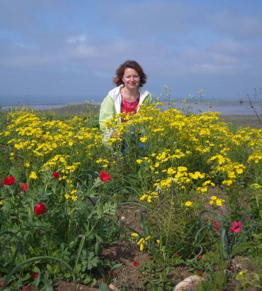 ������ ������� ����������