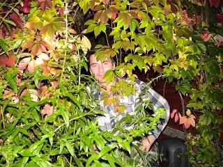 �������� �����