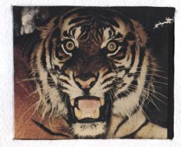 ��������� ������� ����������